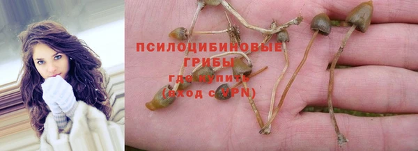 спиды Балахна