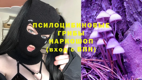 стаф Баксан