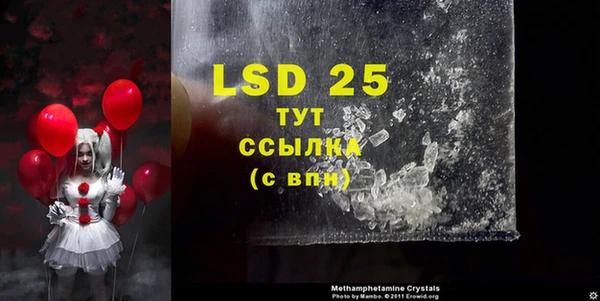 стаф Баксан